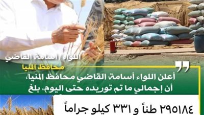 استقبال 295 ألف طن من محصول القمح في شون وصوامع المنيا