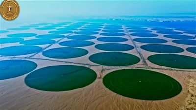 عاجل| التفاصيل الكاملة لمشروع «توشكى الخير» والمشروعات التنموية بجنوب الوادي