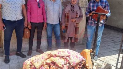 الطب البيطري: ضبط 460 كيلو لحوم فاسدة بسوهاج   