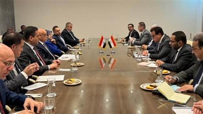 وزير الصحة يبحث مع نظيره العراقي سبل التعاون في تصدير وتسجيل الأدوية