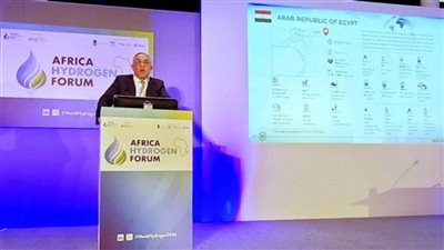 الهيئة العامة للاستثمار والمناطق الحرة تسعى لجذب استثمارات هولندية في الهيدروجين الأخضر