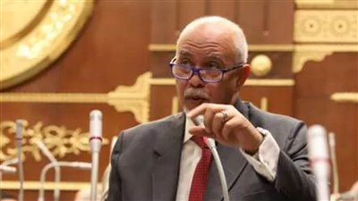 الجندي يطالب بدمج الهيئات والجهات متشابهة الاختصاصات وزيادة حجم استثمارات الصناعة والزراعة