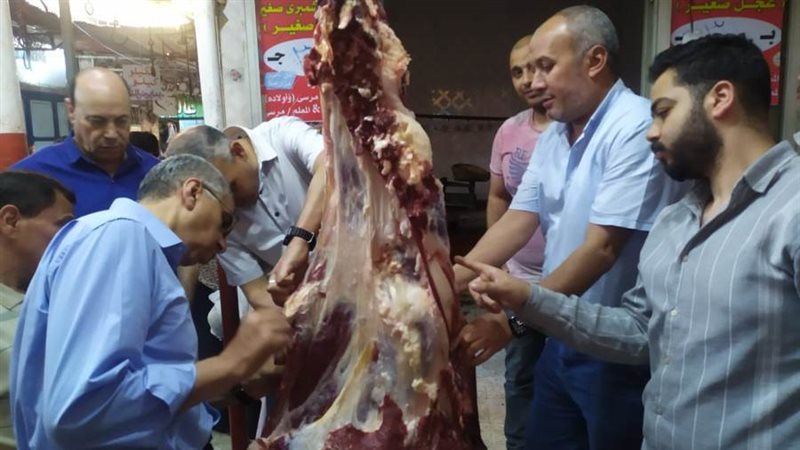 حملات الطب البيطري