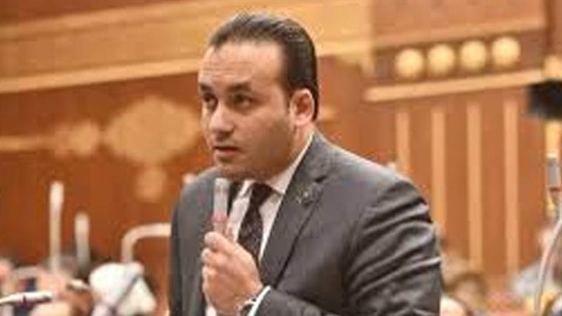 النائب عمرو فهمي