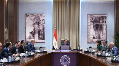 مدبولى يلتقي مسؤولي 