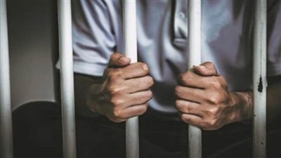 إحالة سائق اشترك مع آخرين في قتل زميله لسرقته في شبرا الخيمة للمفتي