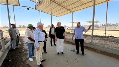 القصير يوجه برفع كفاءة محطة الإنتاج الحيواني بمنطقة العامرية
