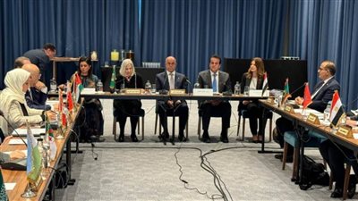 مجلس وزراء الصحة العرب يدين الهجوم العنيف على المستشفيات والمنظمات الصحية بقطاع غزة