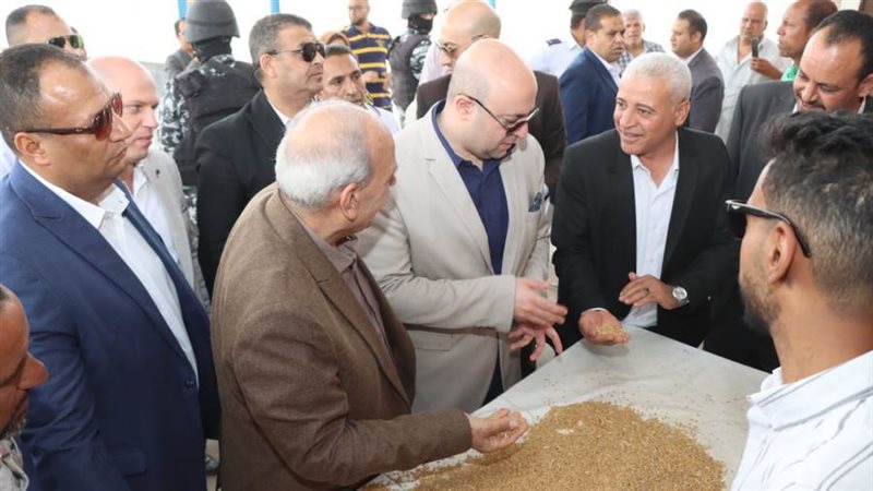 توريد القمح ببنى