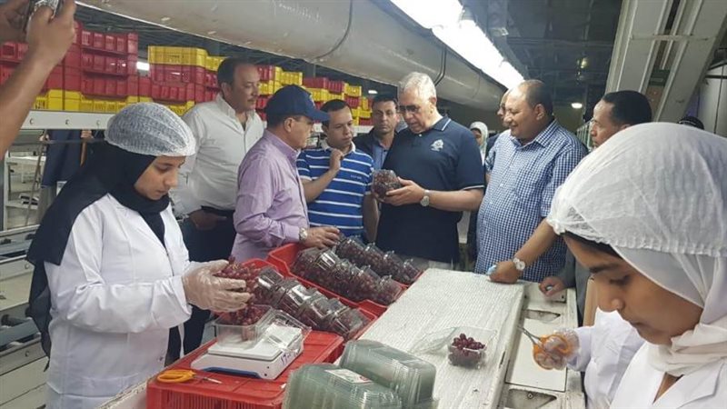 القصير يتفقد عمليات