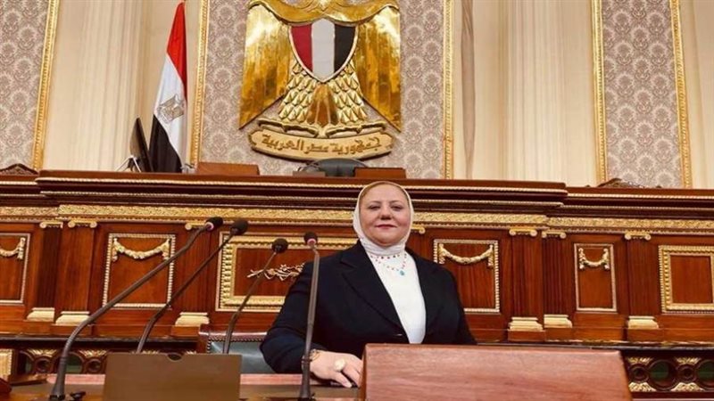 النائبة منال نصر