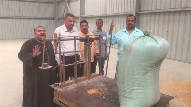 جانب من توريد القمح