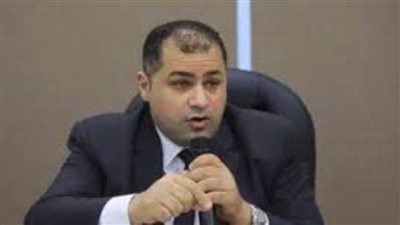 الجيل: مصر ستواصل الضغط على إسرائيل في المحافل الدولية لوقف عدوانها على غزة