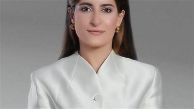 عضو بخارجية النواب: حرب غزة حاضرة دائما على أجندة الرئيس في المحافل الدولية