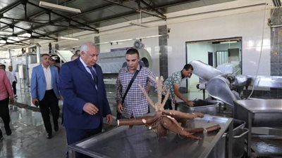لأول مرة بالمحافظة محافظ الوادي الجديد يتفقد نجاح تجربة زراعة نبات (الكسافا) 