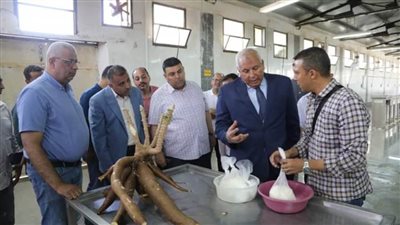 لأول مرة بالمحافظة ... محافظ الوادي الجديد يتفقد نجاح تجربة زراعة نبات (الكسافا) 