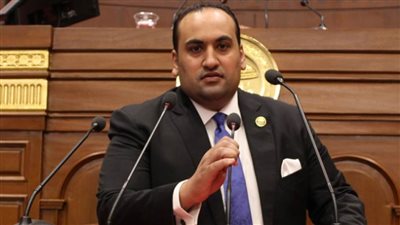 الرشيدي: كلمة الرئيس بالمنتدى الصيني العربي تعكس جهود مصر بالدفاع عن حق الشعب الفلسطيني