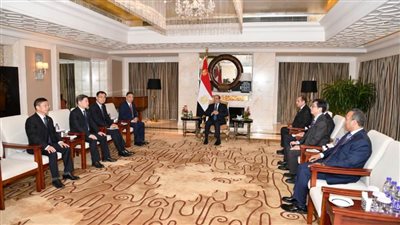 السيسي يبحث مع قيادات 