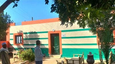 محافظ أسوان: 