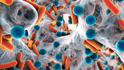 دراسة حديثة: أمل جديد في مكافحة البكتيريا المقاومة للمضادات الحيوية