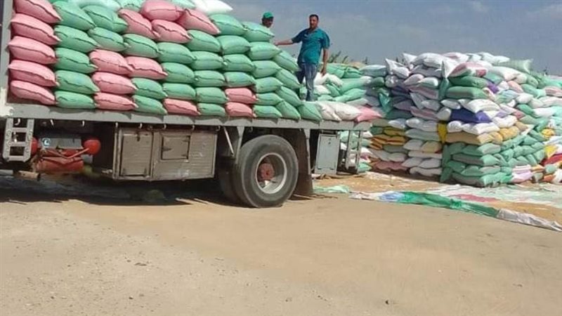 عمليات توريد القمح