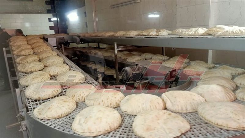 الحملات الرقابية