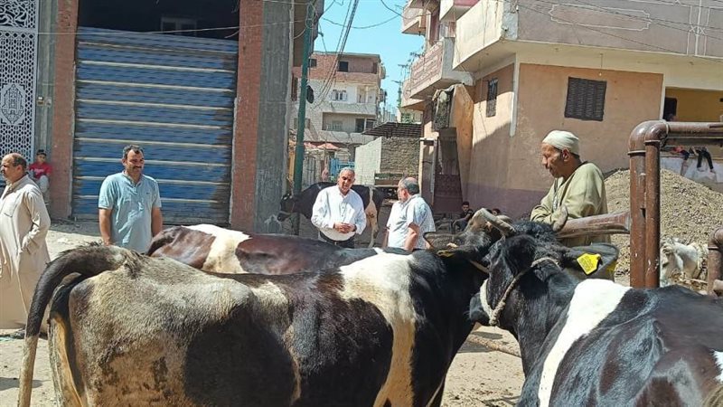 جانب من فعاليات القافلة