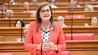 عاجل.. وزيرة التخطيط للنواب: الأزمات خلقت وضعًا معقدًا.. وتراجع معدل البطالة