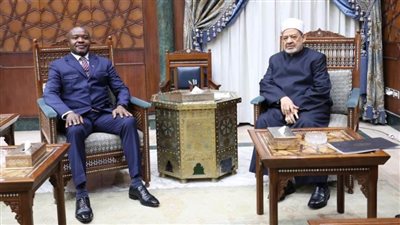 شيخ الأزهر: مستعدون لتقديم منح دراسية غير محدودة لأبناء جنوب أفريقيا