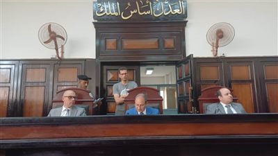 السجن المشدد 5 سنوات لـ عامل أقام علاقة آثمة مع خالته بالوادي الجديد