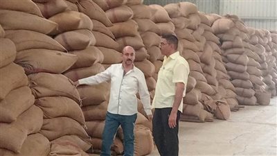 منذ بدء الموسم.. توريد 346 ألف طن قمح بشون وصوامع المنيا