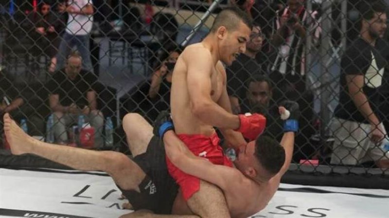 رياضة الفنون القتالية