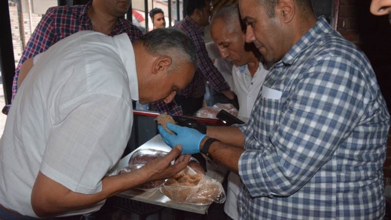 جانب من حملات المحلة