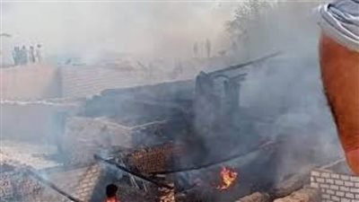 مصرع صاحب معلف ونفوق رأسي ماشية في حريق بكفر شكر