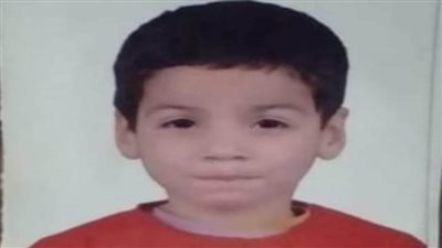 إحالة قاتلة نجل خالتها بمساعدة صديقتها في قليوب للمفتي