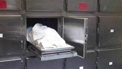 مصرع شخص أثناء عبور الطريق الزراعى صدمته سيارة في قليوب