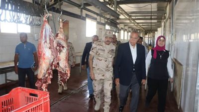 مجازر القليوبية تستعد لاستقبال الأضاحي خلال أيام عيد الأضحى المبارك 