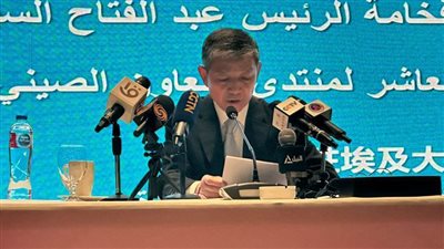 سفير الصين: القاهرة وبكين أطلقا صوتا مشتركا لدعم القضية الفلسطينية