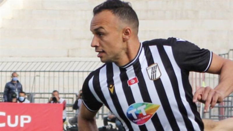 شادي الهمامي