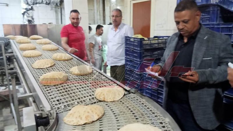 الحملات الرقابية