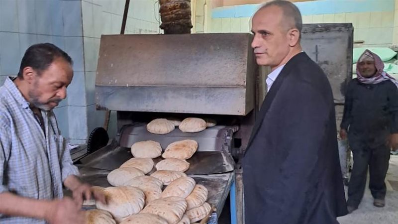 وكيل تموين البحيرة