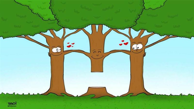 ريشة أمين حبارة