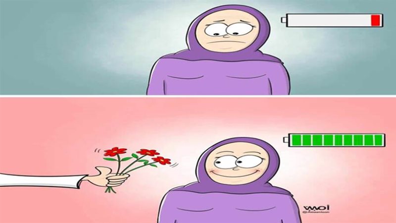 ريشة أمين حبارة