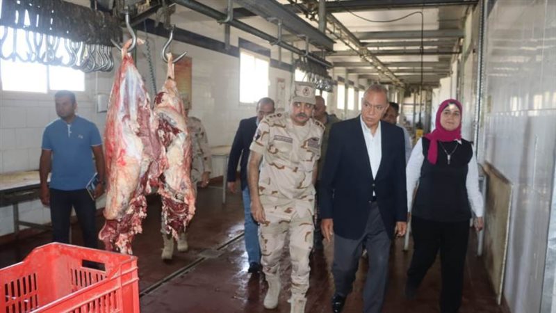 محافظ القليوبية يتابع