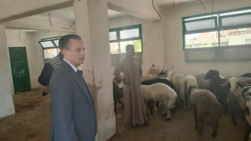 وكيل وزارة الزراعة