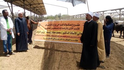   وكيل وزارة الأوقاف بأسوان: تجهيز أضاحى توشكى تمهيدًا لذبحها خلال عيد الأضحى