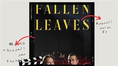 مكتبة مصر الجديدة تعرض وتناقش الفيلم الفنلندي 