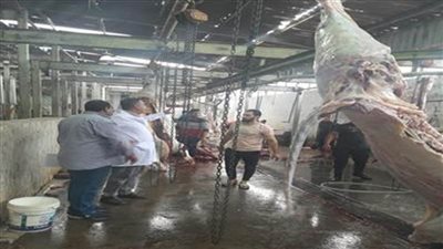 مجازر حكومية و٤١ نقطة ذبيح جاهزة استعدادًا لعيد الأضحي بالإسماعيلية 