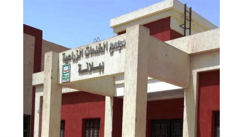 بوابة روز اليوسف