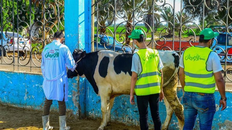 توزيع لحوم بالغربية